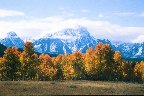 tetons