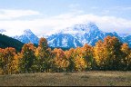 tetons